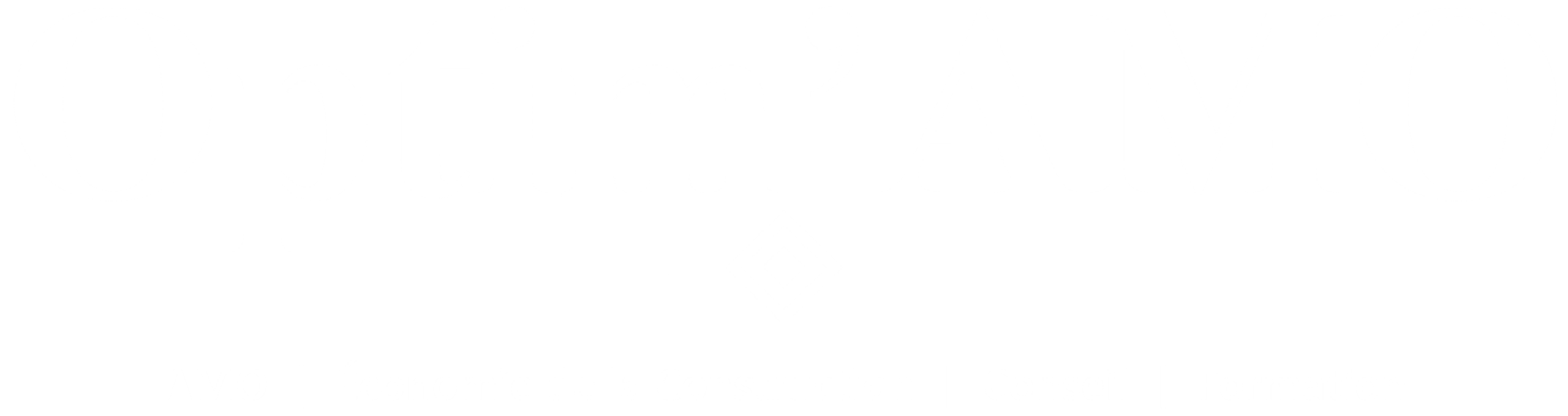 Logo Optim'AMO